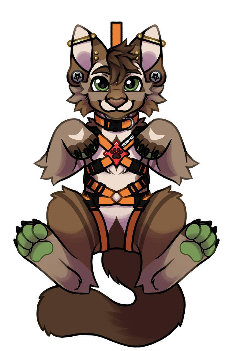 Harness - $70