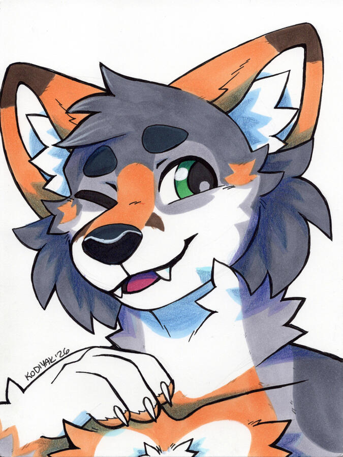 Wildcat Wildcat
