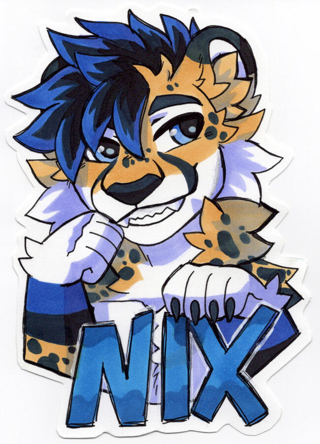 Nix Nix